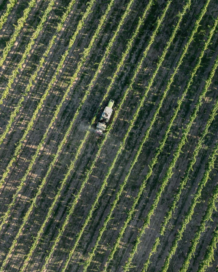 Vigna Stazzo Lu Ciaccaru Arzachena 02