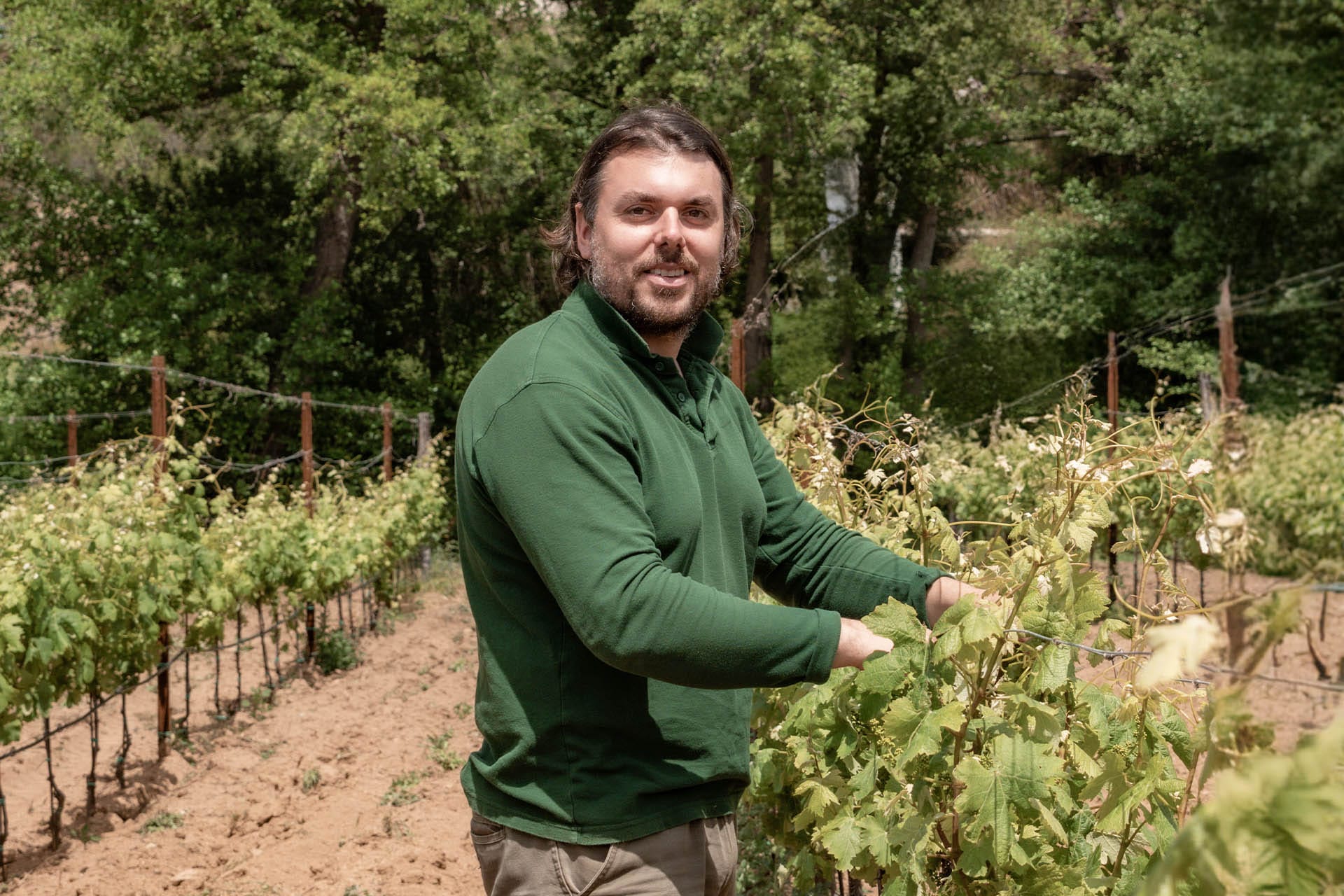 Vigna Stazzo Lu Ciaccaru Arzachena 06