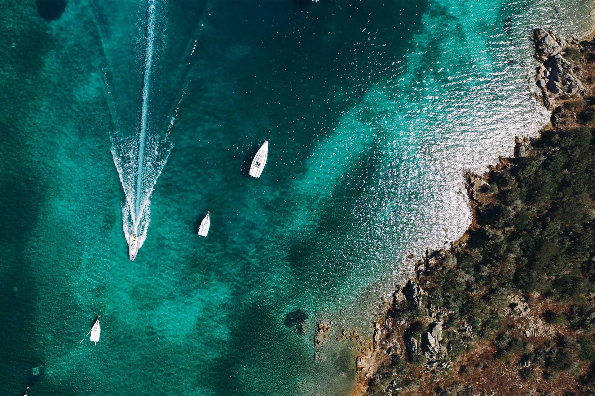 Image - ade4316a-b858-4bfc-86bc-38a3dbedfa83