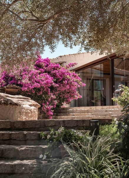 Image - 4b776759-c90a-4385-a9fa-09be9215e5f7