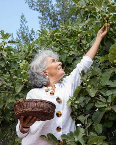 Image - a0820af2-9005-4f20-921b-b2c1c81a2bdd